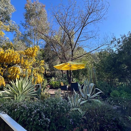 Villa La Reforma - Newly Designed 4Br House & Pool In Los Angeles By Topanga Extérieur photo