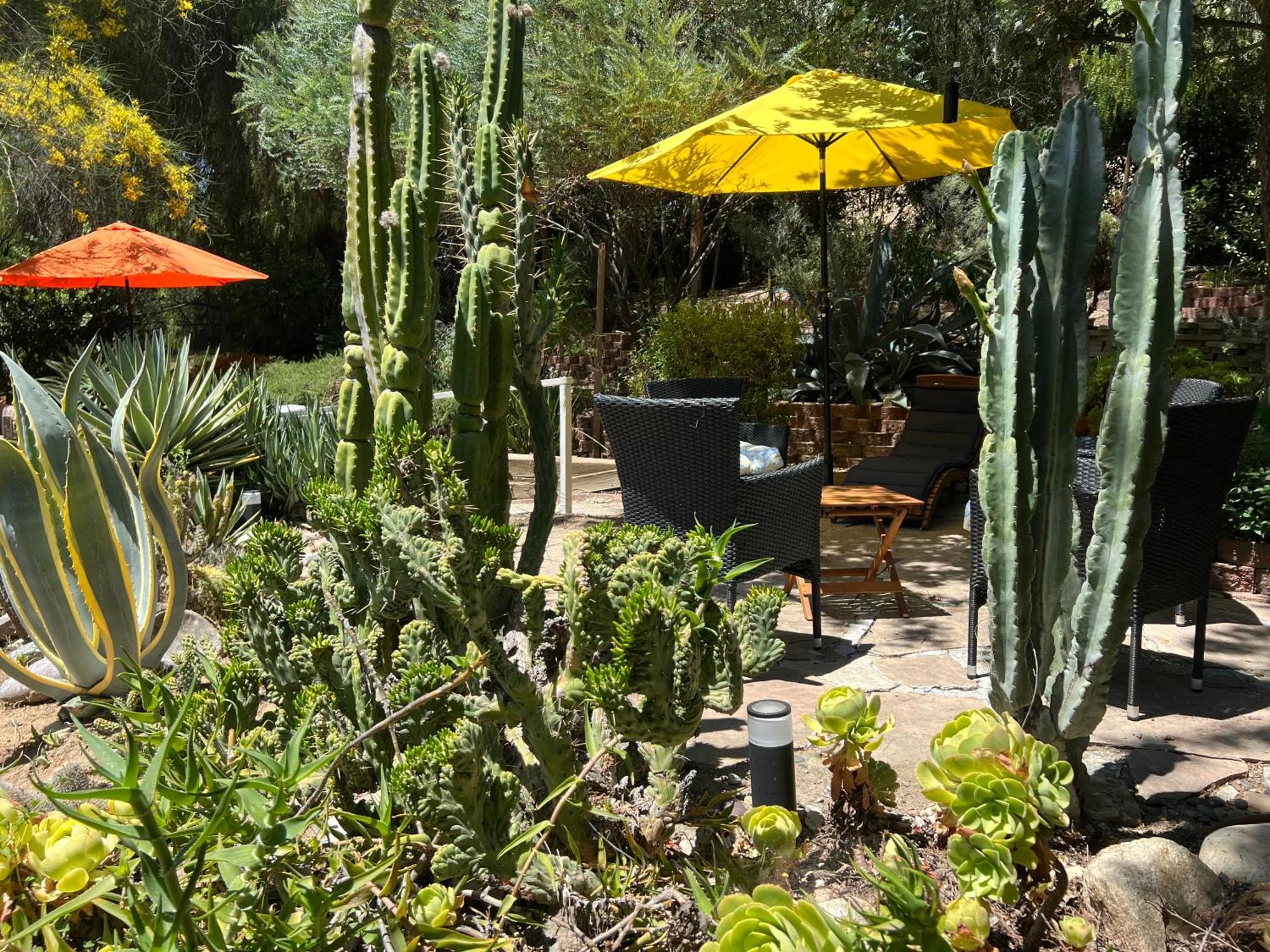 Villa La Reforma - Newly Designed 4Br House & Pool In Los Angeles By Topanga Extérieur photo